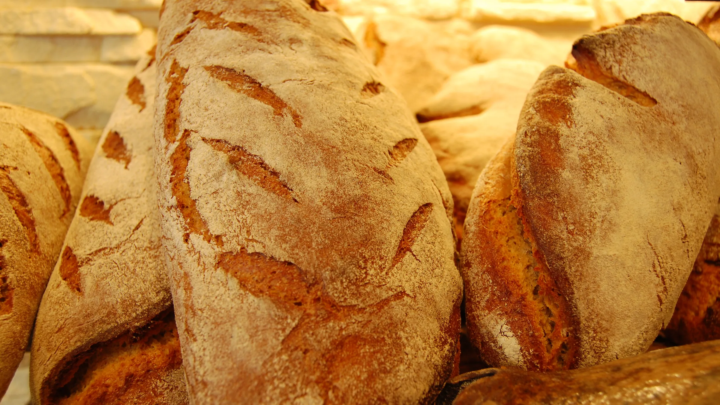 Pains de champagne: französische Landbrote mit eingeschnittener, bemehlter Kruste