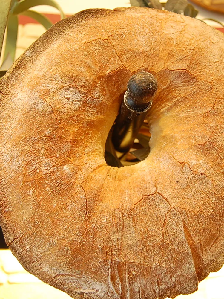 Baguette zu einem Ring gebacken